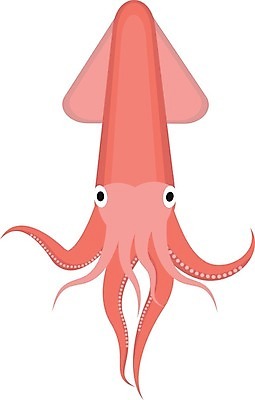 EPS 해외이미지 동물 디자인 실루엣 음식 바다 백그라운드 오렌지 일러스트 자연 새우 어류 미술 빨간색 식당 수중 식사 흰색 신선 만화 심볼 해산물 사인 오징어 문어 촉수 거인 고립 몬스터 엘리먼트 이국적 해외202004 해외일러스트 컬러 과일 문화예술 연체동물 촬영기법 갑각류 상점 수중동물 생태계 파일형식 벡터 이미지허브