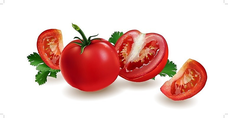 EPS 해외이미지 토마토 과일 일러스트 빨간색 해외202004 해외일러스트 컬러 채소 파일형식 벡터 이미지허브