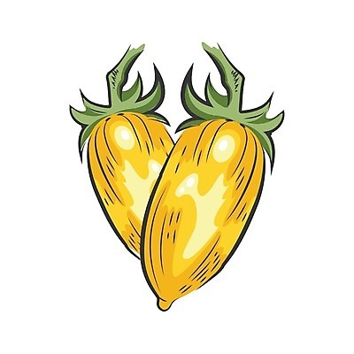 EPS 해외이미지 식물 손 디자인 포스터 음식 농업 토마토 일러스트 재료 자연 잉크 건강 요리 그래픽 농장 라벨 주방 정원 검은색 수확 시장 클래식 상품 수집 오브젝트 사인 그림 에코 유기농 날것 판화 고립 숙성 디테일 해외202004 해외일러스트 웰빙 산업 컬러 컨셉 채소 프레임 미술 신체부위 환경 생태계 파일형식 벡터 이미지허브