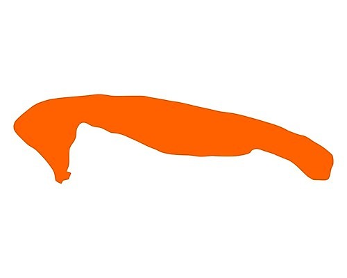 EPS 해외이미지 선 바다 섬 여행 백그라운드 지도 오렌지 일러스트 독일 윤곽 북쪽 동쪽 고립 지리 해외202004 해외일러스트 유럽 과일 방향 파일형식 벡터 이미지허브