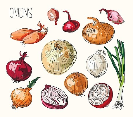 EPS 해외이미지 잡화 음식 조각 백그라운드 다이어트 채소 일러스트 재료 전구 부분 자연 양파 건강 요리 세트 3D 보라색 흰색 신선 반지 양념 그룹 울음 자르기 먹기 허브 향신료 오브젝트 유기농 질감 날것 슬라이스 뿌리 향료 길이 고립 숙성 채식주의자 샬롯 디테일 해외202004 해외일러스트 식물 웰빙 컬러 장신구 모션 표정 디지털합성 생태계 채식 향기 냄새 향미료 파일형식 벡터 이미지허브