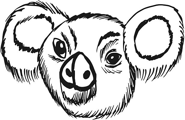 EPS 해외이미지 나무 동물 얼굴 야생동물 일러스트 곰 포유류 포옹 자연 휴식 털 동물원 종류 머리 평화 회색 호주 만화 스케치 모피 호기심 싱글 흰배경 귀 손그림 멸종 내추럴 유칼립투스 해외202004 해외일러스트 식물 감정 컬러 백그라운드 컨셉 안기 미술 신체부위 흰색 오세아니아 생태계 파일형식 벡터 이미지허브