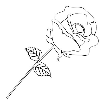 EPS 해외이미지 식물 디자인 꽃잎 꽃 실루엣 종이 백그라운드 잎 꽃무늬 패턴 일러스트 자연 벽지 추상 휴가 발렌타인데이 선물 미술 그래픽 장식 여름 장미 펜 정원 검은색 페인트 봄 수확 벚꽃 흰색 화려 스케치 심볼 그림 복고 윤곽 내추럴 고립 옛날 스타일 해외202004 해외일러스트 계절 컬러 컨셉 무늬 농업 데이이벤트 문화예술 촬영기법 필기구 생태계 파일형식 벡터 이미지허브