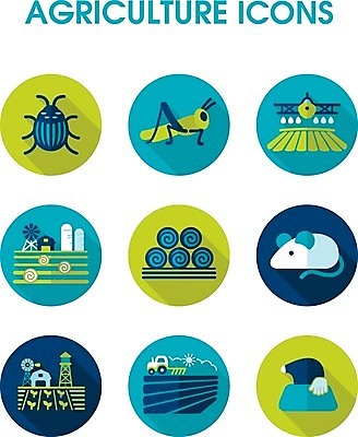 EPS 해외이미지 동물 밭 농업 일러스트 비행기 풍경 사람없음 물 농작물 농장 쌓기 탑 수확 시골 건초더미 볏짚 농부 쥐 먼지떨이 딱정벌레 분무기 트랙터 메뚜기 뭉치 외양간 농약 두더지 밭일 쟁기 콜로라도 해외202004 해외일러스트 자연요소 직업 건축물 산업 곤충 항공교통 모션 대중교통 미국 건초 짚 설치류 농기계 청소도구 특수차량 파일형식 벡터 더미 이미지허브