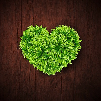 EPS 해외이미지 식물 템플릿 디자인 배너 포스터 백그라운드 잎 패턴 일러스트 자연 추상 프레임 목재 장식 초록색 환경 봄 공백 활발 수확 하트 신용카드 발표 널 상품 갑판 사인 에코 생태계 질감 레이아웃 복고 정사각형 내추럴 강렬 생태학 옛날 해외202004 해외일러스트 모양 도형 나무 계절 교육 컬러 컨셉 무늬 농업 배_교통 재료 금융 파일형식 벡터 이미지허브