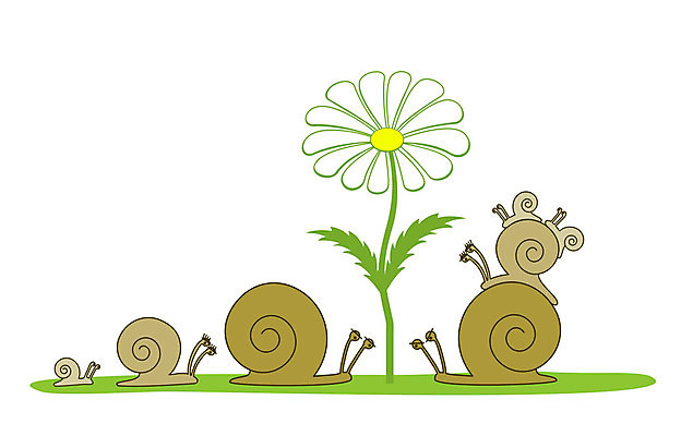 EPS 해외이미지 동물 캐릭터 꽃 행복 곤충 컨셉 잎 일러스트 가족 자연 생물 주택 나선형 그래픽 장난감 갈색 노란색 정원 껍질 유머 작음 만화 스케치 그림 코믹 느림 동물상 어려움 캐리커처 캐모마일 끈적임 해외202004 해외일러스트 일러캐릭터 식물 감정 컬러 무늬 관계 미술 건물 조형물 크기 허브 생태계 파일형식 벡터 이미지허브