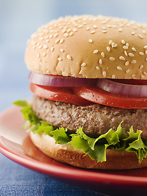 포토 JPG 해외이미지 접시 패스트푸드 실내 근접촬영 사람없음 햄버거 파란배경 해외202004 해외포토 식기 뷰포인트 백그라운드 내부 파란색 인스턴트 파일형식 이미지허브