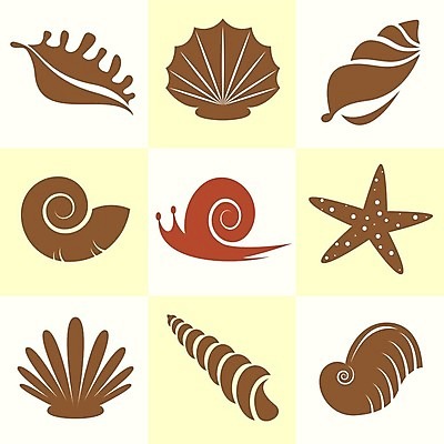 EPS 해외이미지 모양 동물 디자인 음식 바다 여행 백그라운드 패턴 일러스트 부분 자연 추상 조개 연체동물 항해 나선형 미술 사람없음 파란색 세트 껍질 굴 가장자리 소라 수집 심볼 해산물 오브젝트 사인 달팽이 가리비 고립 마스코트 앵무조개 이국적 해외202004 해외일러스트 컬러 무늬 문화예술 어패류 무척추동물 배 둘레 생태계 선박 파일형식 벡터 이미지허브