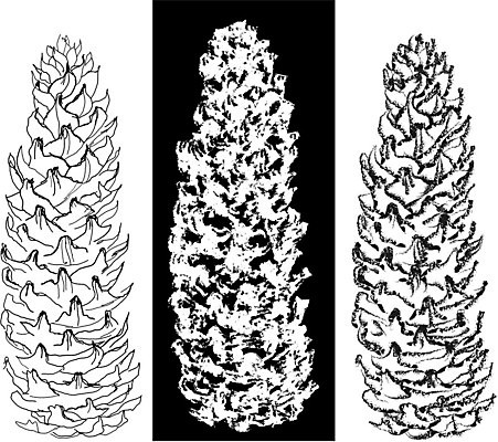 EPS 해외이미지 나무 식물 계절 야생동물 크리스마스 겨울 일러스트 자연 휴가 새로움 흑백 장식 연필 펜 검은색 흰색 붓 소나무 숲 인쇄 스케치 연도 그림 생물학 손그림 솔방울 판화 전나무 원뿔 해외202004 해외일러스트 도형 동물 교육 기념일 컬러 컨셉 학용품 촬영기법 미술 필기구 생태계 파일형식 벡터 이미지허브