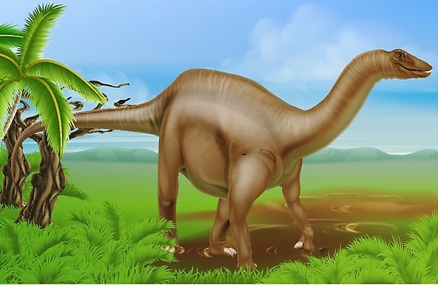 EPS 해외이미지 동물 공원 어린이 백그라운드 일러스트 파충류 초식동물 생물 미술 책 파란색 노란색 3D 흰색 큼 만화 공룡 그림 만들기 도마뱀 목 멸종 선사시대 고립 기간 초식 쥬라기 현실 해외202004 해외일러스트 공공시설 컬러 모션 문화예술 사람 신체부위 역사 크기 디지털합성 파일형식 벡터 이미지허브