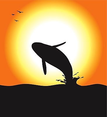 EPS 해외이미지 실루엣 바다 일러스트 조류 사람없음 태양 노을 고래 해외202004 나오기 해외일러스트 자연요소 동물 포유류 모션 촬영기법 수중동물 파일형식 벡터 이미지허브