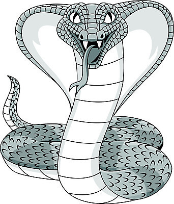 EPS 해외이미지 동물 캐릭터 어린이 일러스트 파충류 종류 초록색 반려동물 검은색 힘 놀람 회색 분노 흰색 독약 뱀 위험 무서움 왕 만화 문신 위협 심볼 피부 그림 사냥 코믹 공상 부족 고립 공격적 녹말 동물상 해외202004 해외일러스트 일러캐릭터 감정 컬러 컨셉 표정 사람 신체부위 조형물 파일형식 벡터 이미지허브