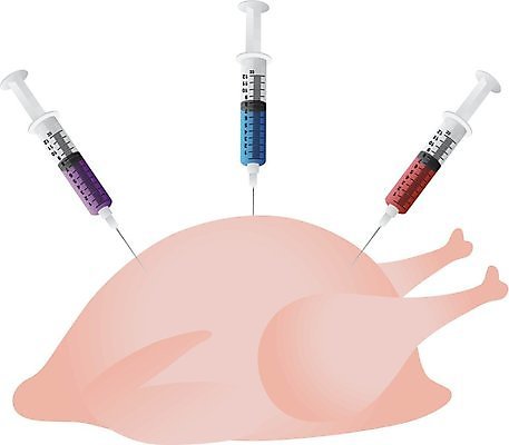 EPS 해외이미지 산업 음식 백그라운드 일러스트 조류 건강 요리 치료 약 치킨 금지 성장 흰색 먹기 그림 날것 치수 성분 고립 무료 인공 화학물질 항생제 호르몬 해외202004 해외일러스트 동물 컬러 의학 모션 화학 닭고기요리 파일형식 벡터 과학 이미지허브
