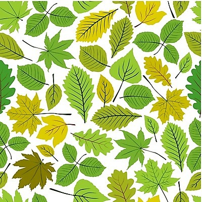 EPS 해외이미지 나무 식물 디자인 계절 실루엣 종이 선 백그라운드 잎 꽃무늬 패턴 일러스트 자연 벽지 추상 미술 장식 초록색 세트 유행 정원 봄 수확 성장 직물 화려 숲 질감 심플 내추럴 완벽 포장소품 규칙적 해외202004 해외일러스트 꽃 컬러 컨셉 무늬 농업 포장 문화예술 촬영기법 오브젝트 생태계 포장재료 파일형식 벡터 이미지허브