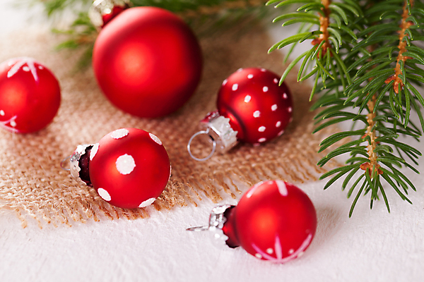 포토 JPG 해외이미지 잎 크리스마스장식 크리스마스 실내 사람없음 흰배경 오너먼트 해외202004 해외포토 식물 기념일 백그라운드 내부 흰색 파일형식 이미지허브