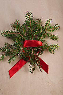 포토 JPG 해외이미지 디자인 계절 리본 백그라운드 크리스마스 겨울 패턴 자연 휴가 새로움 선물 사람없음 목재 장식 빨간색 초록색 빛 수확 나뭇가지 축하 소나무 정상 연도 질감 복고 상록수 침엽수 전나무 옛날 2017년 해외202004 해외포토 나무 기념일 컬러 컨셉 무늬 농업 재료 생태계 파일형식 이미지허브