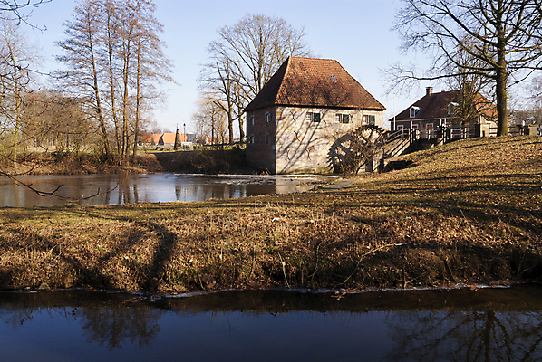포토 JPG 해외이미지 나무 잎 사람없음 강 가을 해외202004 해외포토 식물 계절 파일형식 이미지허브