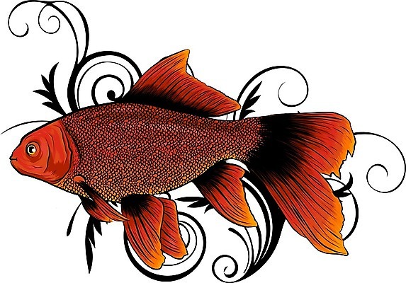 EPS 해외이미지 동물 디자인 교육 음식 바다 백그라운드 패턴 일러스트 자연 낚시 건강 종류 어류 미술 동양인 그래픽 빨간색 물 일본 중국 수확 낙서 해산물 오브젝트 그림 금붕어 손그림 판화 어장 잉어 고립 동물상 수경재배 해외202004 해외일러스트 자연요소 아시아 컬러 무늬 농업 레저 문화예술 인종 조형물 수중동물 생태계 파일형식 벡터 나라 산업 사람 이미지허브