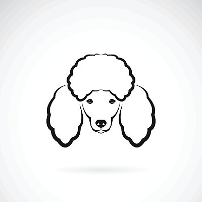 EPS 해외이미지 일러스트 사람없음 반려동물 검은색 흰색 개 강아지 푸들 해외202004 해외일러스트 동물 컬러 포유류 파일형식 벡터 이미지허브