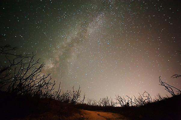 포토 JPG 해외이미지 나무 별 자연 하늘 산 풍경 사람없음 어둠 별자리 야간 언덕 은하계 해외202004 해외포토 자연요소 식물 생태계 파일형식 이미지허브