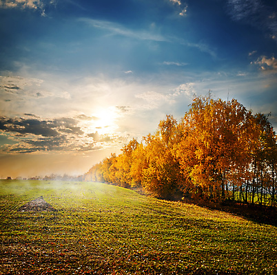 포토 JPG 해외이미지 주간 나무 구름 자연 하늘 잔디 사람없음 야외 햇빛 가을풍경 가을 해외202004 해외포토 자연요소 식물 계절 풍경 태양 생태계 파일형식 가을_계절 이미지허브