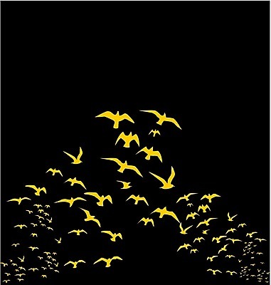 EPS 해외이미지 모양 동물 계절 실루엣 야생동물 날개 일러스트 가족 자연 갈매기 조류 하늘 휴가 휴식 종류 그림자 야외 여름 세트 자유 그리기 그룹 공작 숲 왜가리 문신 심볼 깃털 비둘기 앵무새 윤곽 독수리 철사 까마귀 해외202004 해외일러스트 컨셉 관계 모션 촬영기법 생태계 파일형식 벡터 이미지허브