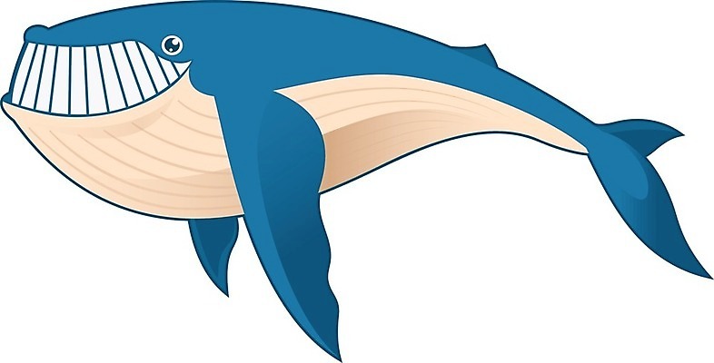 EPS 해외이미지 한마리 일러스트 사람없음 고래 해외202004 해외일러스트 1 포유류 수중동물 파일형식 벡터 이미지허브