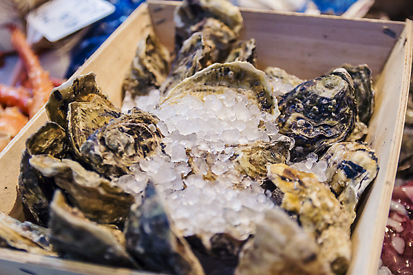 포토 JPG 해외이미지 접시 유럽 음식 바다 백그라운드 다이어트 재료 낚시 조개 연체동물 건강 어류 요리 사람없음 목재 상자 갈색 세일 상점 얼음 검은색 식사 껍질 굴 시골 신선 시장 계산대 해산물 유기농 날것 포트 소매 내추럴 점심식사 블러 소금물 이스라엘 전문 많음 해외202004 해외포토 자연요소 나무 식기 웰빙 나라 컬러 컨셉 레저 어패류 무척추동물 수중동물 서아시아 파일형식 이미지허브