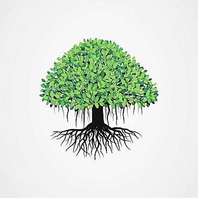 EPS 해외이미지 모양 나무 식물 디자인 계절 백그라운드 잎 꽃무늬 패턴 일러스트 자연 추상 야외 목재 그래픽 장식 초록색 여름 세트 환경 정원 봄 성장 흰색 나뭇가지 숲 심볼 그림 에코 유기농 뿌리 내추럴 고립 생태학 엘리먼트 스타일 해외202004 해외일러스트 웰빙 교육 꽃 컬러 무늬 재료 생태계 파일형식 벡터 이미지허브