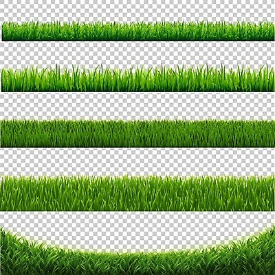 EPS 해외이미지 클립아트 식물 디자인 계절 꽃 백그라운드 잎 꽃무늬 밭 일러스트 부활절 프레임 잔디 가로 초록색 여름 세트 정원 봄 흰색 신용카드 말벌 땅 수집 허브 오브젝트 그림 에코 유기농 조경 내추럴 고립 생태학 엘리먼트 해외202004 해외일러스트 웰빙 교육 기념일 컬러 무늬 농업 금융 환경 벌_곤충 파일형식 벡터 이미지허브