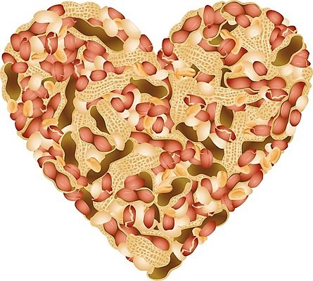EPS 해외이미지 클립아트 식물 음식 일러스트 재료 건강 그래픽 식사 견과류 껍질 하트 맛 낟알 만화 땅콩 고립 해외202004 해외일러스트 모양 컨셉 파일형식 벡터 이미지허브