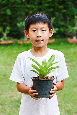 포토 JPG 해외이미지 나무 식물 손 지구 어린이 컨셉 와이셔츠 잎 농업 태국 자연 한명 사람 동양인 소년 초록색 새싹 환경 정원 꽃병 검은색 흙 봄 성장 잡기 보호 냄비 원예 돌봄 생태학 심기 해외202004 해외포토 1 계절 교육 남자 꽃 산업 아시아 컬러 셔츠 모션 인종 취미 신체부위 솥 생태계 파일형식 이미지허브