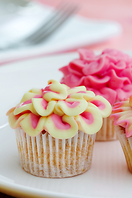 포토 JPG 해외이미지 접시 꽃잎 꽃 음식 분홍색 포크 디저트 3 사람없음 장식 노란색 케이크 얼음 고급 달콤 컵케이크 굽기 냅킨 반투명 프로스팅 해외202004 스펀지케이크 해외포토 자연요소 식물 식기 컬러 컨셉 맛 구이 제빵 파일형식 이미지허브