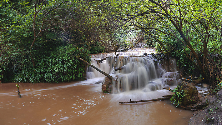 포토 JPG 해외이미지 나무 식물 계절 공원 유럽 길 여행 잎 자연 휴가 산 파노라마 이끼 풍경 사람없음 야외 목재 초록색 물 여름 강 여행객 마을 환경 침묵 봄 활발 폭포 흐름 시골 신선 개울 떨어짐 숲 장면 내추럴 불가리아 스플래쉬 해외202004 해외포토 자연요소 공공시설 나라 컬러 컨셉 재료 촬영기법 사람 소리 생태계 파일형식 남유럽 이미지허브