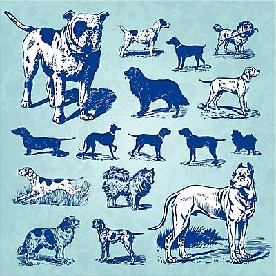 EPS 해외이미지 동물 디자인 실루엣 백그라운드 일러스트 포유류 자연 동물원 미술 그래픽 장식 반려동물 세트 수확 골동품 양치기 개 인쇄 닥스훈트 수집 향수 그림 복고 푸들 사냥개 과거 판화 불독 그런지 동물상 목판화 충고 포메라니안 해외202004 해외일러스트 직업 컨셉 농업 문화예술 촬영기법 조형물 화장품 생태계 파일형식 벡터 이미지허브