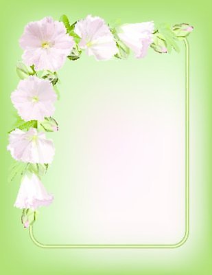 EPS 해외이미지 식물 디자인 계절 꽃잎 꽃 분홍색 백그라운드 잎 꽃무늬 일러스트 자연 프레임 미술 장식 세로 초록색 여름 머리 우주 정원 공백 벚꽃 신선 신용카드 화려 개화 우아함 허브 묘사 그림 복고 향기 내추럴 창백 아욱 파스텔톤 스타일 해외202004 해외일러스트 컬러 컨셉 무늬 문화예술 신체부위 금융 생태계 냄새 파일형식 벡터 이미지허브