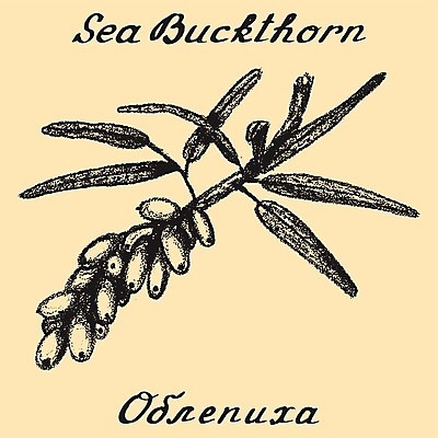 EPS 해외이미지 나무 식물 손 디자인 영어 열매 음식 백그라운드 잎 채소 오렌지 과일 일러스트 재료 자연 건강 목재 그래픽 초록색 약 연필 라벨 에너지 수확 나뭇가지 조미료 차 맛 스케치 관목 그림 친환경 유기농 생물학 날것 윤곽 내추럴 러시아인 바이오 오리지널 레터링 비건 해외202004 해외일러스트 서양인 문자 웰빙 교육 음료 컬러 컨셉 농업 의학 학용품 프레임 미술 신체부위 필기구 환경 생태계 채식주의자 향미료 파일형식 벡터 이미지허브