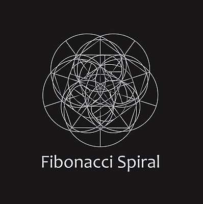 EPS 해외이미지 모양 디자인 선 과학 백그라운드 컨셉 일러스트 부분 추상 나선형 미술 그래픽 장식 우주 소용돌이 원형 수학 황금 은색 크리스탈 측정 눈금 정사각형 공식 직사각형 비율 방사형 오각형 오해 해외202004 해외일러스트 도형 컬러 무늬 교과목 문화예술 회오리 광석 파일형식 벡터 이미지허브