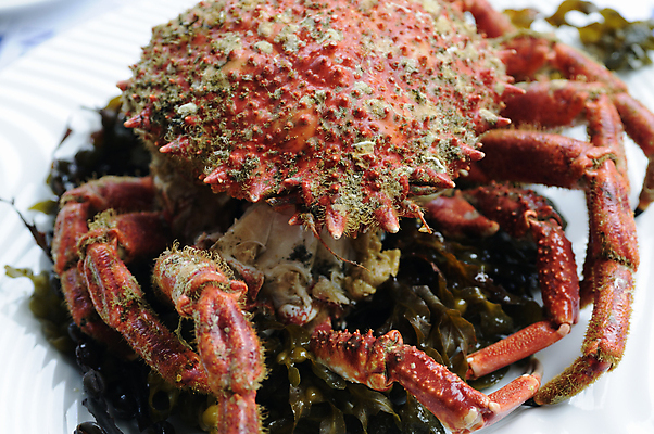 포토 JPG 해외이미지 동물 접시 음식 바다 자연 탁자 조개 갑각류 어류 요리 사람없음 야외 빨간색 물 식당 식사 저녁식사 프랑스 게 시장 고급 맛 먹기 해산물 준비 충동구매 내추럴 프랑스어 점심식사 집게발 해외202004 해외포토 자연요소 문자 식기 유럽 컬러 가구 컨셉 모션 어패류 쇼핑 상점 수중동물 생태계 과소비 파일형식 이미지허브