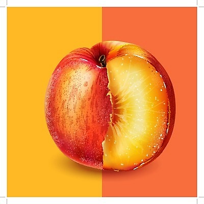 EPS 해외이미지 클립아트 음식 잎 과일 일러스트 포장 자연 디저트 요리 그래픽 장식 컬러풀 꼬리표 라벨 주방 식당 주스 수확 신선 맛 잼 먹기 에코 유기농 복숭아 배지 통조림 내추럴 고립 숙성 채식주의자 해외202004 해외일러스트 식물 웰빙 음료 컬러 컨셉 농업 모션 프레임 환경 상점 소스_음식 생태계 채식 파일형식 벡터 이미지허브