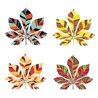 EPS 해외이미지 나무 식물 디자인 계절 꽃 종이 백그라운드 단풍 잎 꽃무늬 패턴 오렌지 일러스트 학교 자연 추상 미술 그래픽 장식 빨간색 여름 세트 컬러풀 노란색 유행 정원 검은색 봄 수확 성장 가을 숲 만화 수집 심볼 질감 복고 내추럴 생태학 엘리먼트 해외202004 해외일러스트 교육 컬러 무늬 농업 과일 문화예술 생태계 파일형식 벡터 이미지허브