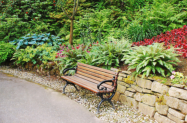 포토 JPG 해외이미지 식물 공원 잎 벤치 의자 자연 휴식 앉기 사람없음 야외 목재 초록색 정원 침묵 봄 해외202004 해외포토 나무 계절 공공시설 컬러 가구 컨셉 재료 모션 소리 생태계 파일형식 이미지허브