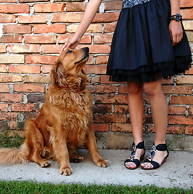 포토 JPG 해외이미지 동물 응시 드레스 여자 벽 오렌지 포유류 벽돌 한명 앉기 야외 반려동물 갈색 검은색 희망 우정 기다림 황금 개 리트리버 동료 주인 송곳니 기르기 충실 해외202004 해외포토 1 시선 옷 감정 컬러 과일 관계 모션 사람 친구 치아 돌봄 파일형식 이미지허브