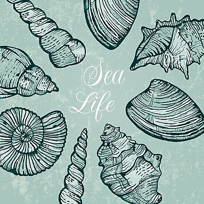 EPS 해외이미지 디자인 바다 섬 여행 백그라운드 일러스트 자연 벽지 휴가 조개 휴식 생물 프레임 물 여름 파란색 스파 수확 껍질 신용카드 스케치 수집 휴양지 질감 복고 달팽이 손그림 암초 그런지 앵무조개 이국적 터키석 파라다이스 포장소품 해외202004 해외일러스트 자연요소 계절 컬러 컨셉 농업 포장 어패류 연체동물 미술 금융 장소 보석 오브젝트 생태계 포장재료 파일형식 벡터 이미지허브