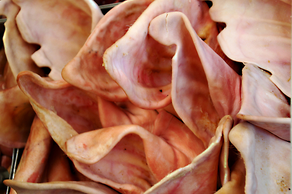 포토 JPG 해외이미지 동물 전통 아시아 음식 분홍색 재료 부분 자연 뼈 건강 육류 돼지고기 요리 동양인 사람없음 빨간색 빛 갈색 머리 쌓기 식당 식사 중국 죽음 신선 돼지 시장 맛 큼 자르기 피부 유기농 코 귀 주둥이 내추럴 점심식사 매각 삶기 여신 정육점 해외202004 해외포토 웰빙 나라 컬러 컨셉 식재료 포유류 모션 인종 신체부위 상점 크기 생태계 파일형식 이미지허브