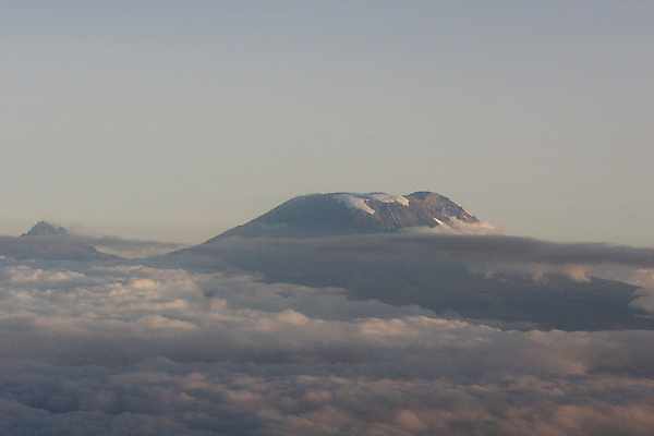 포토 JPG 해외이미지 나무 식물 공원 야생동물 여행 아프리카 자연 하늘 풍경 사람없음 야외 초록색 여름 태양 일출 환경 검은색 일몰 새벽 황무지 사파리 케냐 남쪽 내추럴 사바나 세렝게티 전국 탄자니아 해외202004 해외포토 자연요소 동물 계절 공공시설 나라 컬러 노을 방향 생태계 파일형식 이미지허브