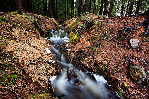 포토 JPG 해외이미지 나무 식물 자연 산 독일 이끼 풍경 사람없음 야외 초록색 물 강 갈색 봄 폭포 바위 시골 신선 소나무 개울 숲 묘사 언덕 속도 장노출 침엽수 가문비나무 해외202004 해외포토 자연요소 계절 유럽 컬러 촬영기법 돌_바위 생태계 파일형식 이미지허브