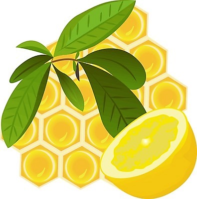 EPS 해외이미지 식물 전통 디자인 음료 백그라운드 잎 일러스트 재료 자연 귤 건강 컵 초록색 여름 약 숟가락 머그컵 흰색 신선 뜨거움 액체 차 달콤 맛 아침식사 찻잔 티스푼 찻주전자 레몬 허브 오브젝트 유기농 아로마 향 꿀 내추럴 고립 핸드메이드 디톡스 해외202004 해외일러스트 식기 웰빙 계절 컬러 컨셉 과일 의학 주전자 잔 수저 식사 생태계 파일형식 벡터 이미지허브