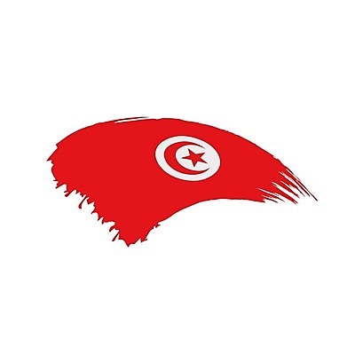 EPS 해외이미지 모양 디자인 배너 별 리본 문화 물결 여행 백그라운드 컨셉 일러스트 아프리카 바람 미술 그래픽 빨간색 세계 페인트 달 흰색 축하 깃발 붓 땅 심볼 사인 그림 애국심 고립 그런지 아랍어 전국 정부 타격 튀니지 해외202004 해외일러스트 자연요소 나라 컬러 모션 날씨 문화예술 파일형식 벡터 이미지허브