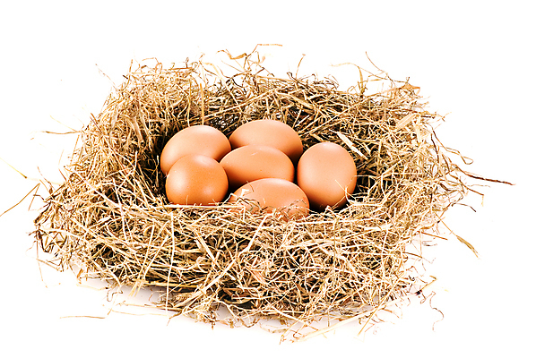 포토 JPG 해외이미지 음식 재료 아침 실내 건강 사람없음 농장 바구니 모임 껍질 시골 신선 그룹 볏짚 수집 깃털 속도 유기농 날것 밀짚 외양간 고립 무료 생식 해외202004 해외포토 주간 웰빙 농업 내부 짚 파일형식 이미지허브